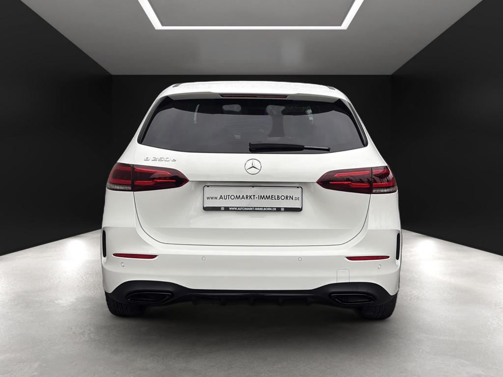 Mercedes-Benz B 250