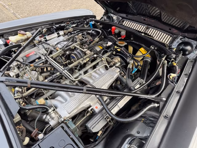 Jaguar XJ12
