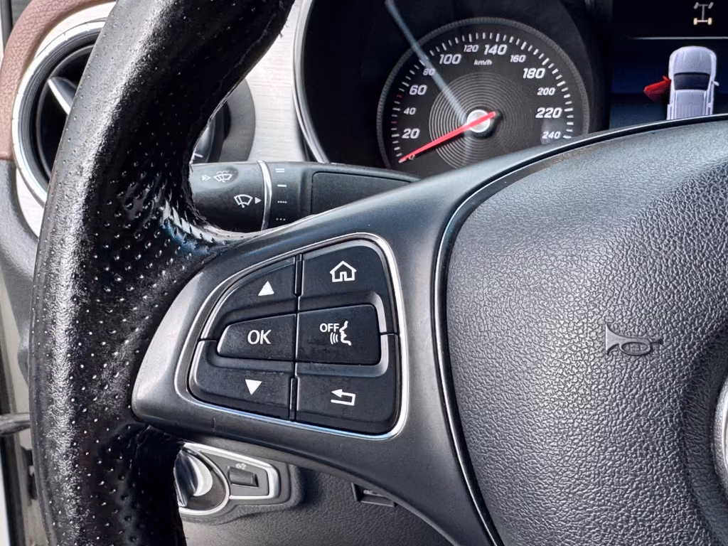 Mercedes-Benz X 250