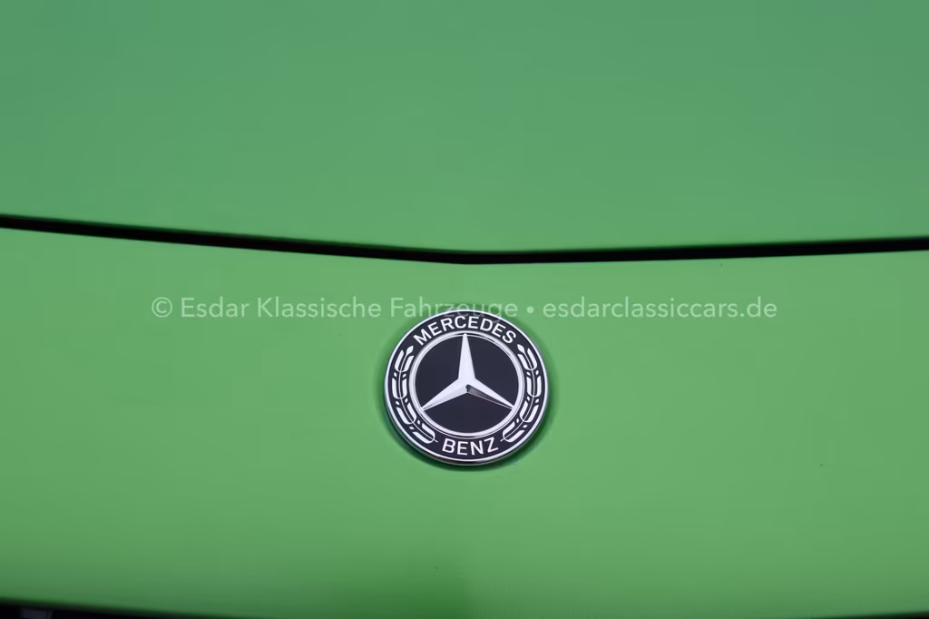 Mercedes-Benz AMG GT R