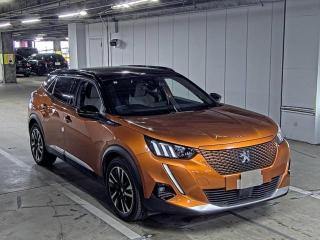 PEUGEOT E-2008