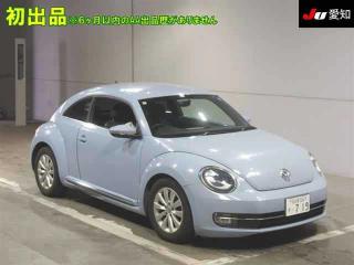 VOLKSWAGEN THE BEETLE