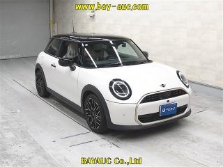 ROVER MINI