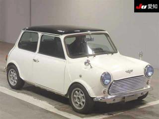 ROVER MINI
