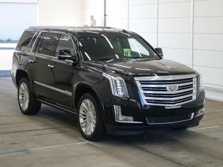 GMC OTHER