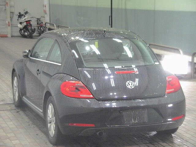VOLKSWAGEN THE BEETLE