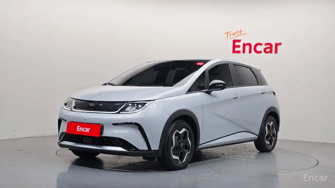 BYD Dolphin