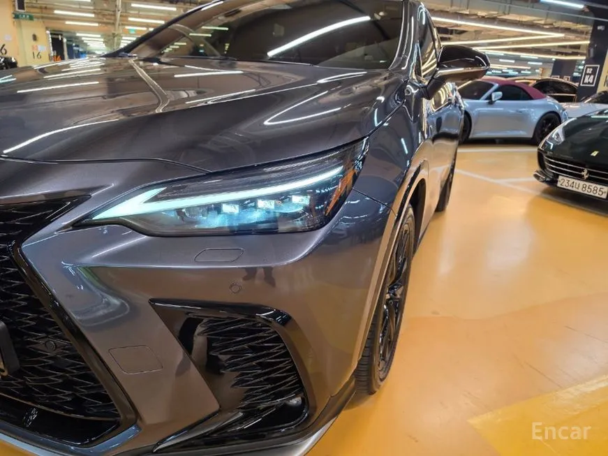 Lexus NX