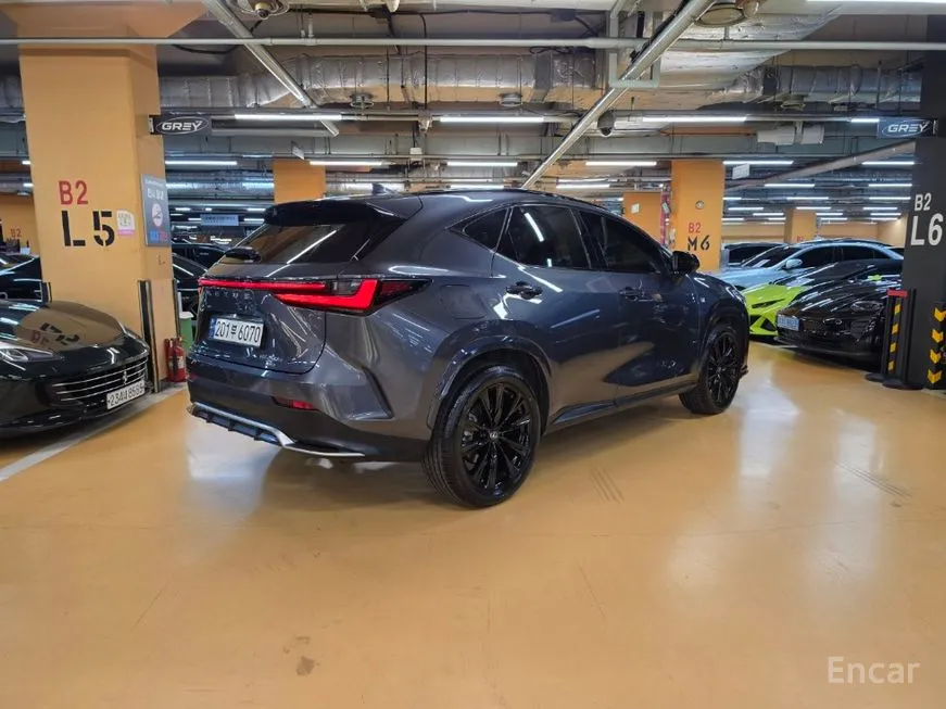 Lexus NX