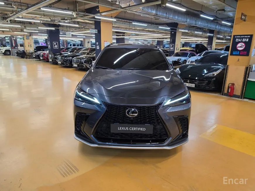 Lexus NX