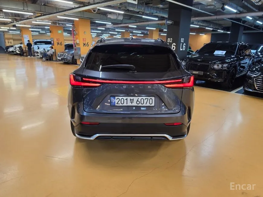 Lexus NX