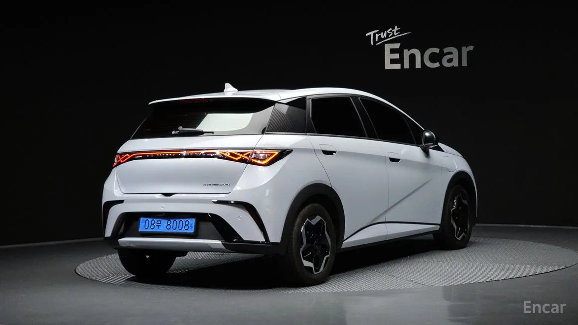 BYD Dolphin
