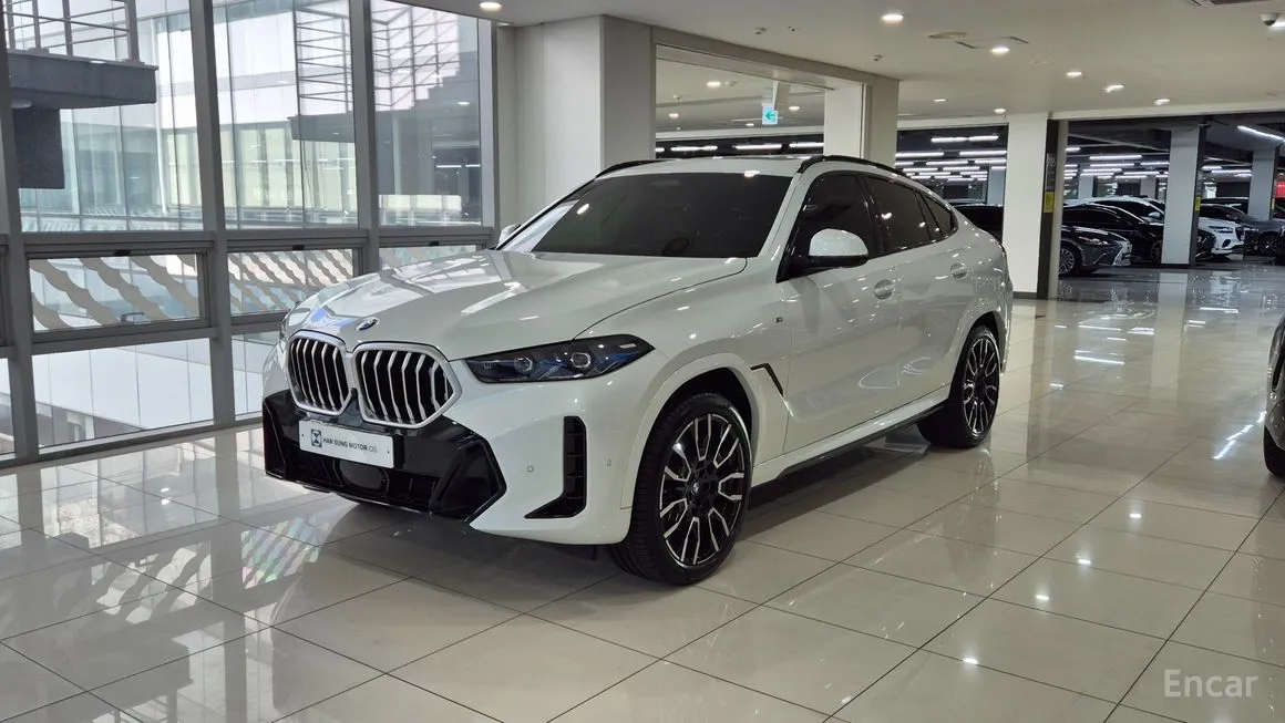 BMW X6