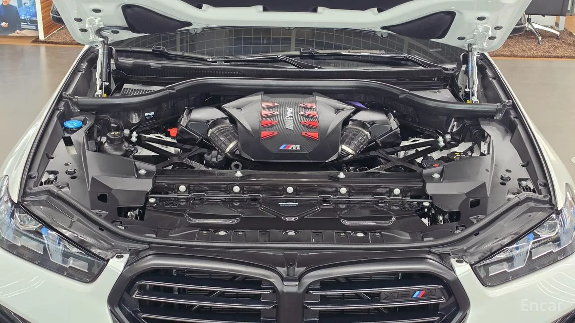 BMW X6M