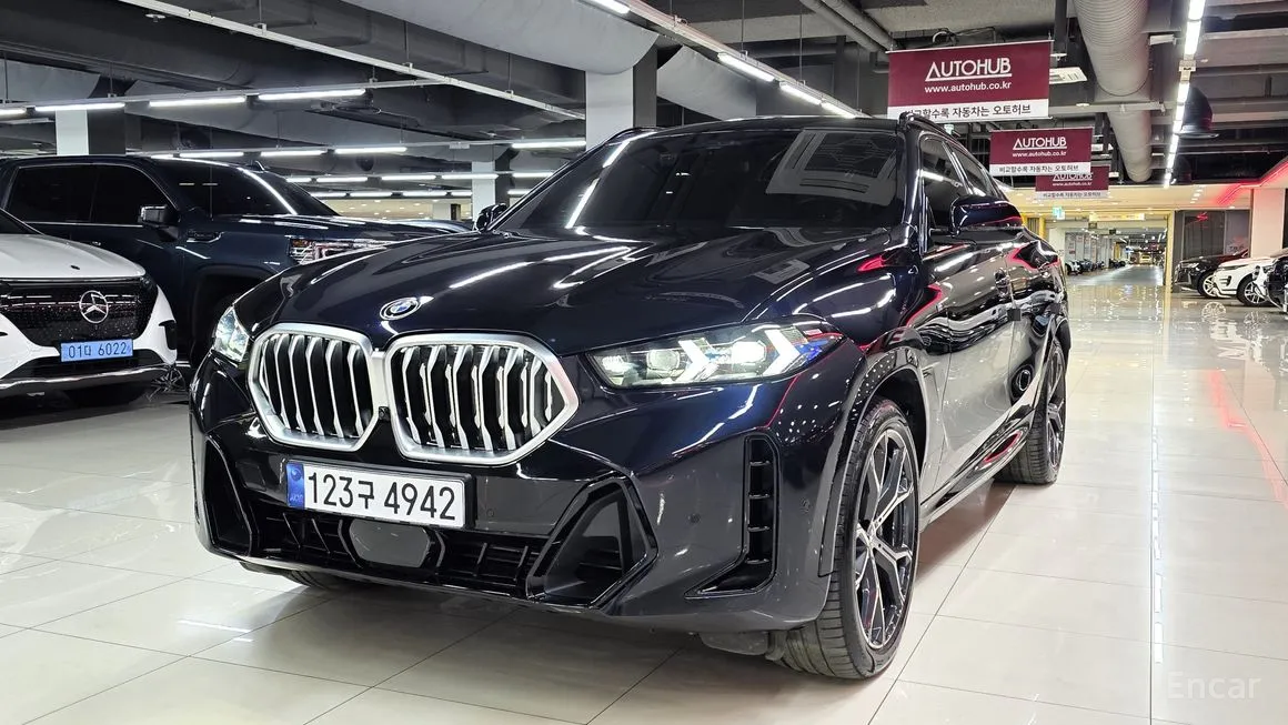 BMW X6