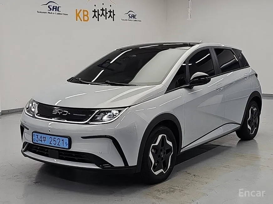 BYD Dolphin