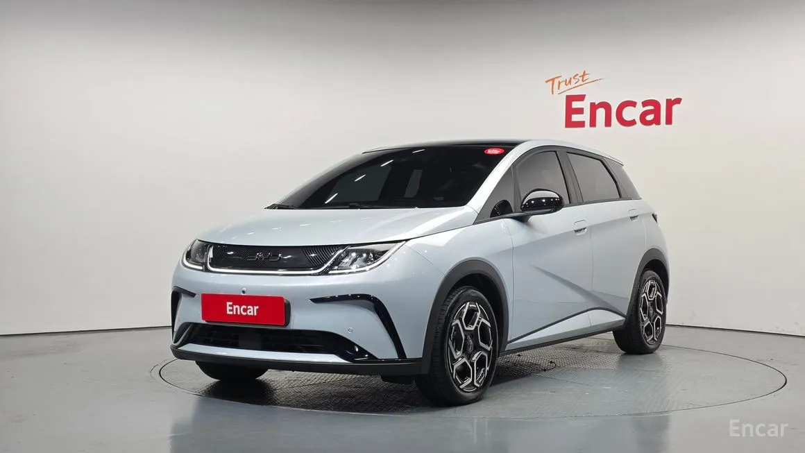 BYD Dolphin