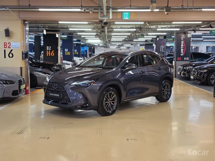 Lexus NX
