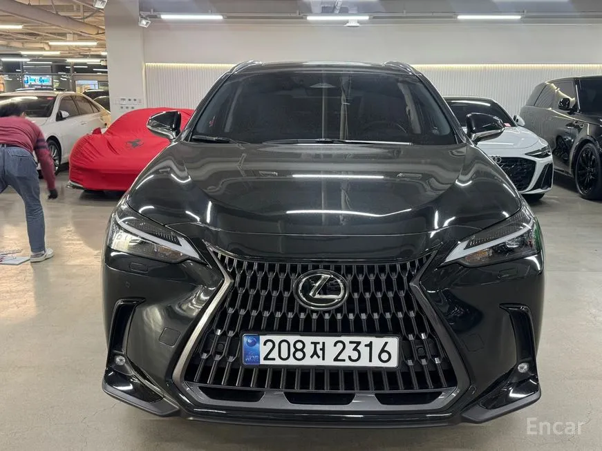 Lexus NX
